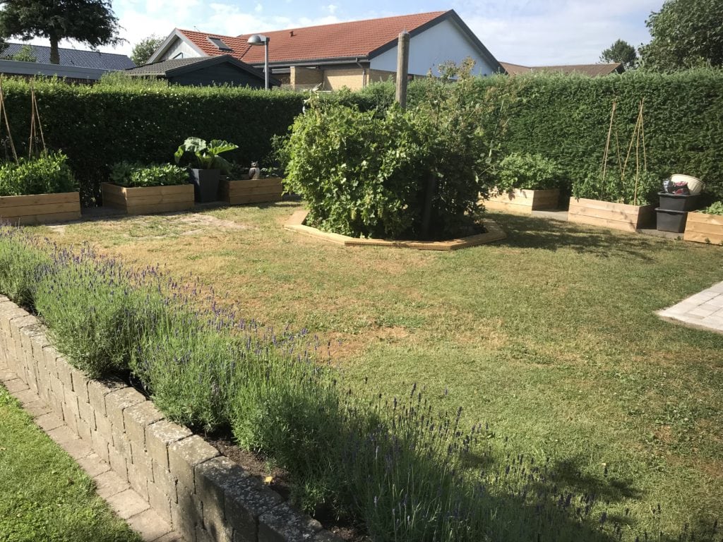 mancave.dk gardening lavender planter boxes